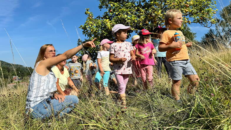 Die Kinder des Naturpark-Kinderhauses in Jonsdorf sind immer draußen. Die Streuobstwiese am Gebirgsbad ist ein herrlicher Platz zum Spielen und Entdecken - und ein schönes Symbol dafür, was im Kurort so alles wächst.