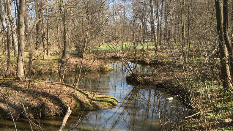Die Malschwitzer Kleine Spree fließt durch die Teichlandschaft.