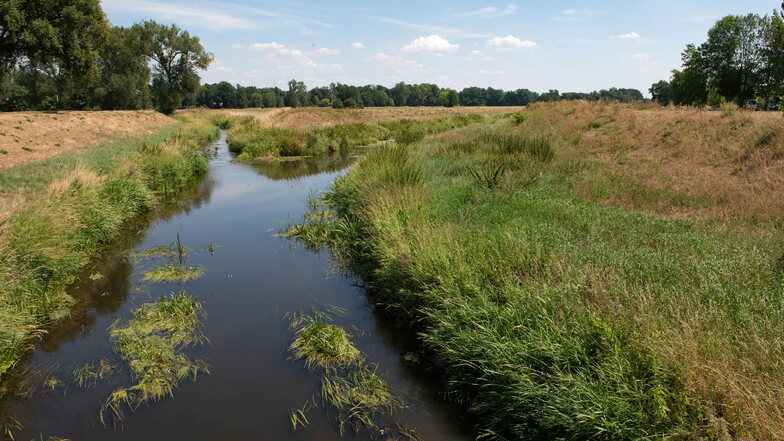 Niedrigwasser am Zusammenfluss von Großer Röder und Röderneugraben: Und trotz Verbots wird aus dem Fluss vereinzelt Wasser abgeschöpft.