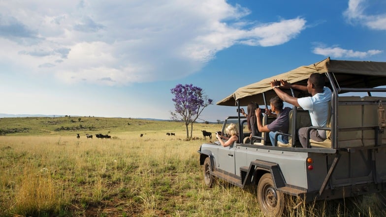 Safari an Silvester: Jetzt Reise zum Jahreswechsel nach Südafrika buchen!