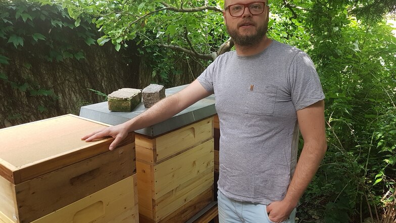 Imker-Profi Toni Kaden kennt zwar nicht jede seiner Biene beim Namen, weiß aber, wie sie ticken.