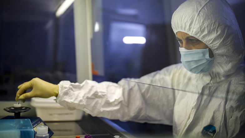 Ein medizinischer Mitarbeiter arbeitet mit einem Testsystem für die Diagnose vom Coronavirus in einem mikrobiologischem Labor.