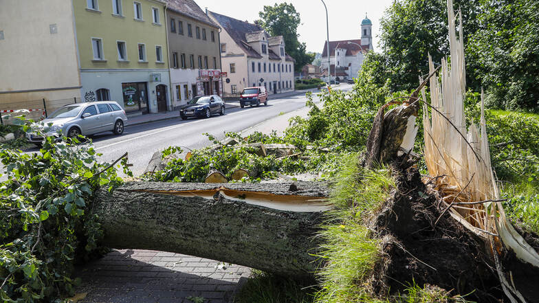 So wie hier in der Friedensstraße brach der Gewittersturm am Pfingstmontag in Zittau selbst dicke Stämme.