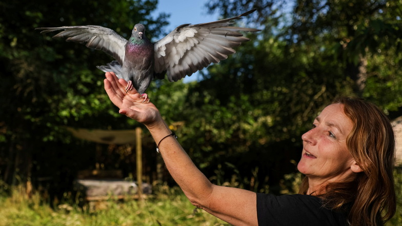 Ein Herz für alle Tiere: Ines Teuber hat ihren Garten für Taubenvolieren zur Verfügung gestellt.