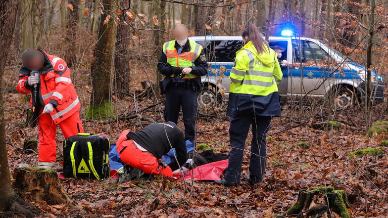 Die Polizei hat einen flüchtigen Unfallfahrer schwer verletzt im Wald bei Moritzburg gefunden.