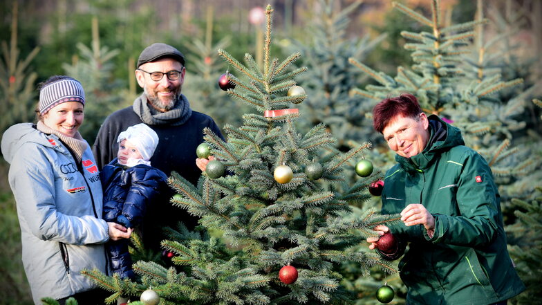 Eine Familie im Dienste der Weihnachtsbäume (von rechts): Uta und Heiko Belger mit Tochter Julia Preußger und Enkelin Anna Amalia.