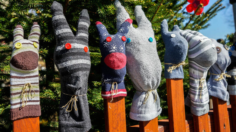 Coole Hasenbande: An der Kamenzer Straße in Bischofswerda ist zurzeit dieser besondere Osterschmuck zu sehen – gefertigt aus Socken.