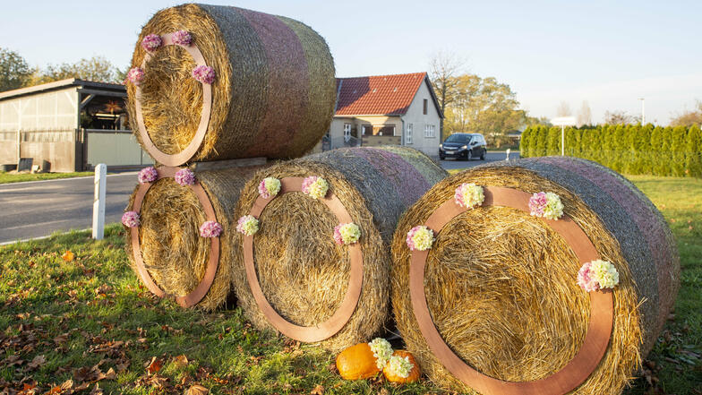 Die aus Strohballen gestaltete Zahl 800 kündet am Ortseingang von Brockwitz vom Ortsjubiläum, das erst im kommenden Jahr gefeiert werden kann.