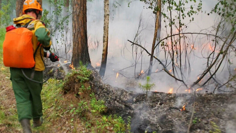 Ein Mitarbeiter des russischen Luftwaldschutzes (Avialesookhrana)  während der Bekämpfung eines der Waldbrände.