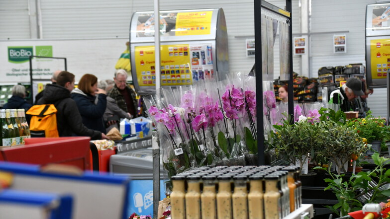 Das Sortiment ist das gleiche wie in allen regulären Netto-Filialen auch.