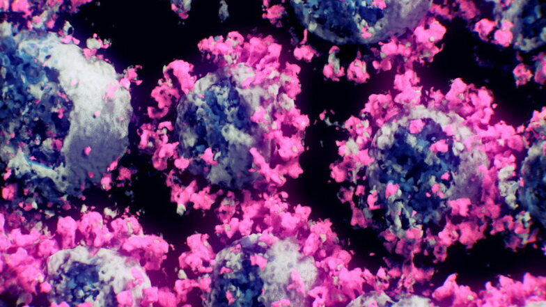 Die Aufnahme von Forschern des TU Wien-Spin-off Nanographics zeigt Coronaviren. Deutlich zu erkennen ist das rosa gefärbte sogenannte Spike-Protein an der Oberfläche, mit dem sich das Virus an die Körperzellen anheftet und schließlich in sie eindringt.