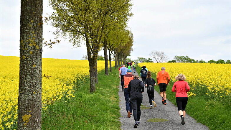 Fast 900 Starter beim Lausitzer Blütenlauf in Kamenz