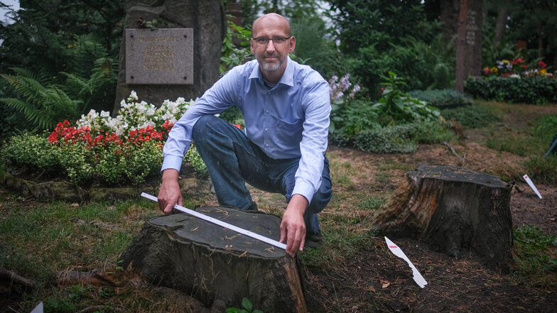 Seit 2005 ist Jens Börner Fachbereichsleiter des Urnenhains. Damals waren die Kiefern noch dicht und kräftig, sagt er. Nun muss er viele Bäume fällen lassen, denn sie werden zur Gefahr für Besucher.