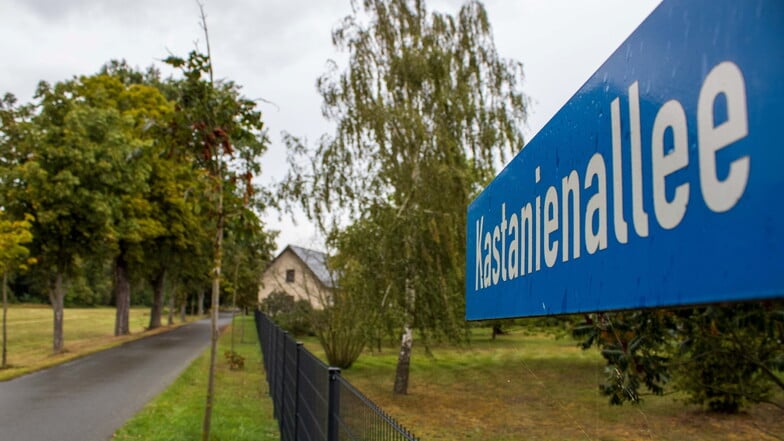 Großenhain hat bereits seit vielen Jahren die Begrünung seiner Innenstadt und Ortsteile fest im Blick.