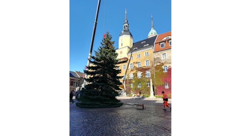Roßwein sucht Weihnachtsbaum für den Marktplatz