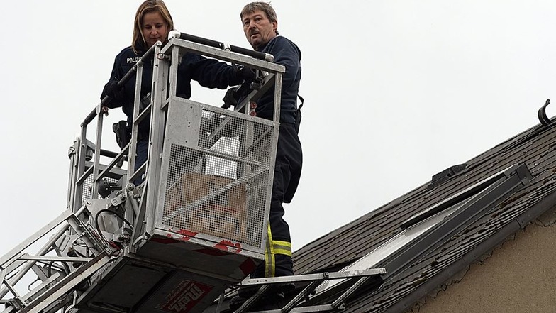 Feuerwehr und Polizei haben am Donnerstag mit der Drehleiter zwei Katzen aus einer Wohnung an der Theaterstraße geholt. Die trieben sich zuvor auf dem Dach herum.