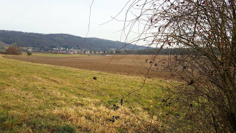 Auf dieser Fläche zwischen Birkwitz-Pratzschwitz und Söbrigen soll Kies abgebaut werden.