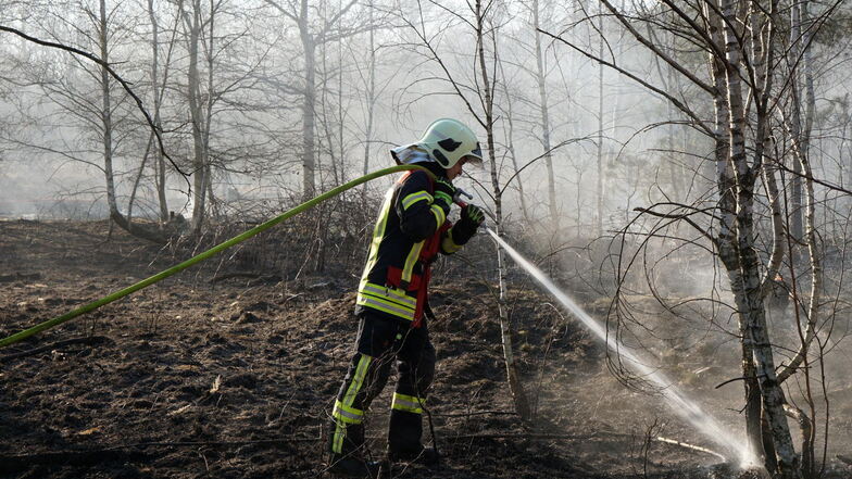 Eine besonders große Fläche Wald ist in diesem Jahr im Kreis Bautzen bereits durch Waldbrände vernichtet oder beschädigt worden.