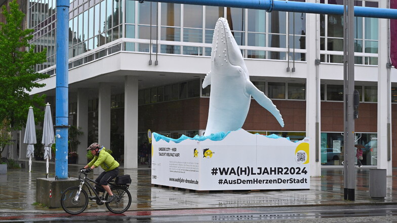 Weshalb steht jetzt ein Riesen-Wal vor dem Kulturpalast in Dresden?