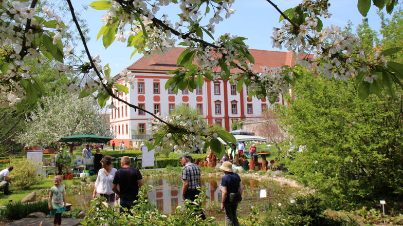 Im Klostergarten in Panschwitz-Kuckau gibt es nicht nur jede Menge Pflanzen zu bestaunen, sondern zum Erlebnistag auch viel Kultur und Spaß.