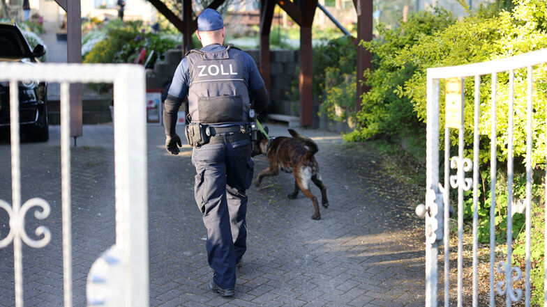 Bei zwei Zoll-Razzien in Bad Lausick und Leipzig haben Einsatzkräfte Pflanzen, Drogen und viel Bargeld gefunden. Auch Spürhunde waren daran beteiligt.