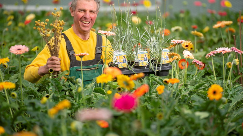 Gärtnermeister Michael Habelt mit der Pflanze des Jahres 2021. Die Trommelwirbel sind auch in Radeburg beliebt.