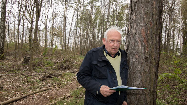 Herbert Seidel (69) aus Hartha wohnt direkt neben dem Stadtwäldchen. Er ist mit dem derzeitigen Zustand des Waldstücks unzufrieden. Früher sei es ein
Schmuckstück gewesen, heute ein „Saustall“.