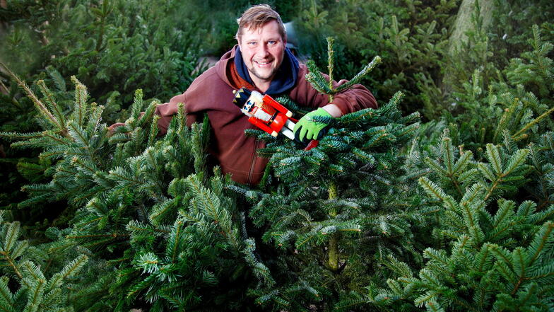 Im alten Heizhaus in Dresden verkauft Sven Hellmich seit zehn Jahren Weihnachtsbäume. Die letzten Lockdown-Wochen liefen für ihn außergewöhnlich gut.