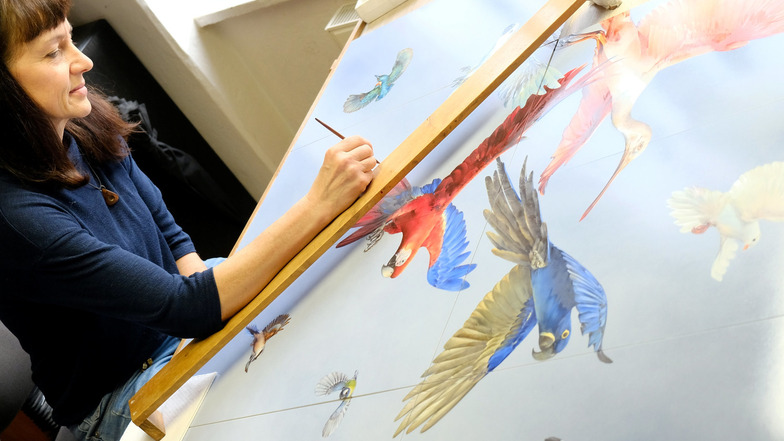 Wandmalerin Heike Wuttke verleiht einem Ara den letzten Feinschliff. Der Vogel ist Teil eines Wandbildes, das die Porzellanmanufaktur Meissen derzeit fertigt.