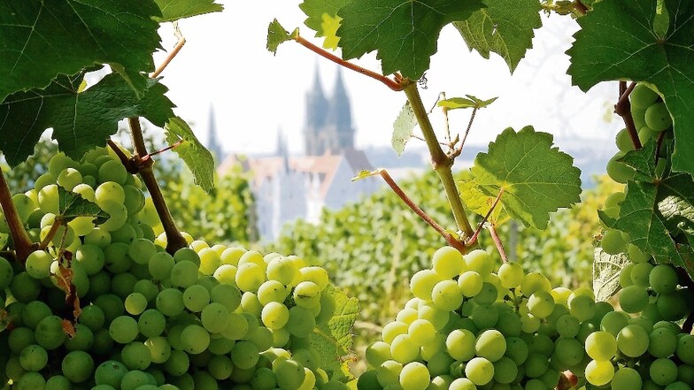 Viele Winzer öffnen zum Weinfest ihre Höfe und bieten den Besuchern Wein, Kulinarisches und Kulturelles an.