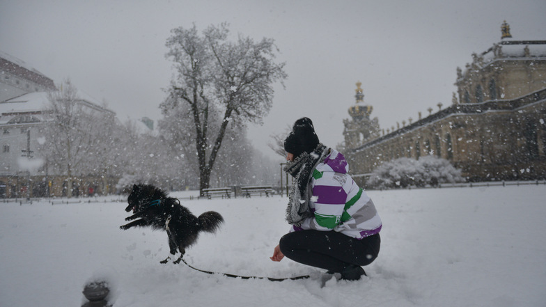 ...freute derweil andere: Margarita Mastrovassilis und ihr Hund Zorro genossen den Schnee in Dresden. Foto: Christian Juppe 