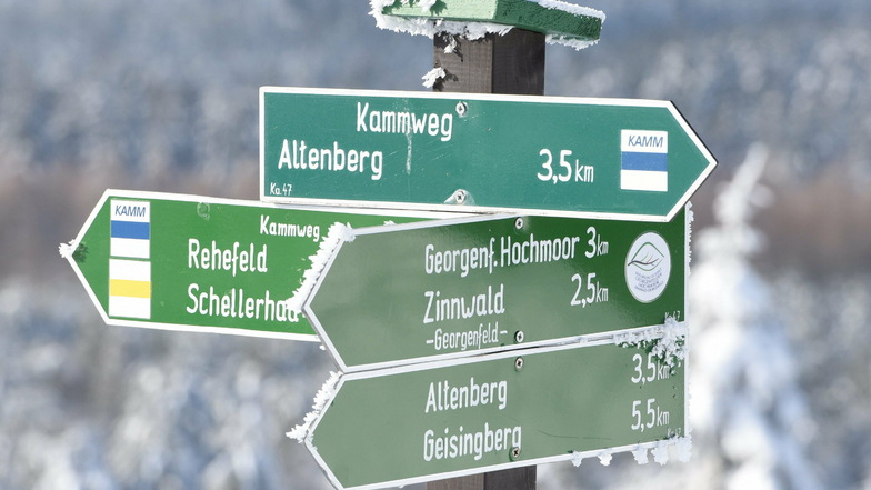 Der Kammweg führt über den Kahleberg bei Altenberg.