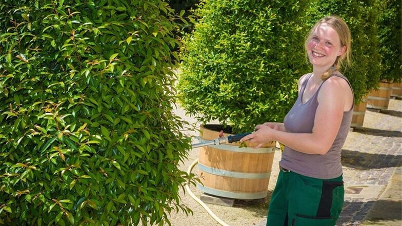 Um Pflanzen und Bäume im Pillnitzer Schloss kümmert sich Gaby Glöckner. 2016 soll exotisches Grün dazukommen, das den Lustgarten schmücken wird.
