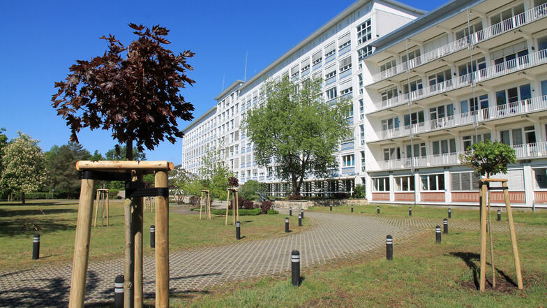 Der Park des Lausitzer Seenland Klinikums wurde mit Ersatzpflanzungen aufgehübscht.