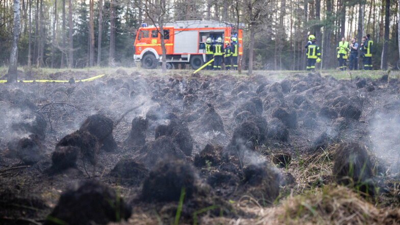 Einen Brand im Dubringer Moor bei Wittichenau mussten Feuerwehrleute am Donnerstagabend löschen.