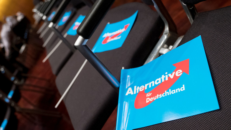 Fahnen der Partei Alternative für Deutschland (AfD) bei einer Wahlkampfveranstaltung.
