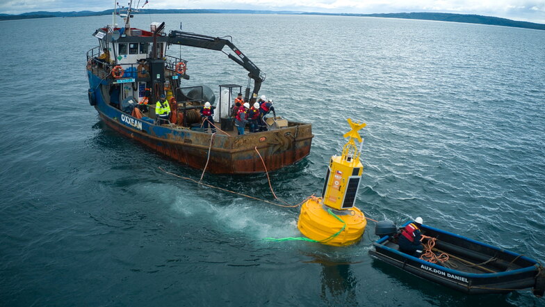Über ihre Blue Boat Initiative wollen das chilenische Umweltministerium und die Stiftung Meri die Wale nun besser von Zusammenstößen mit Schiffen und dem Unterwasserlärm schützen.