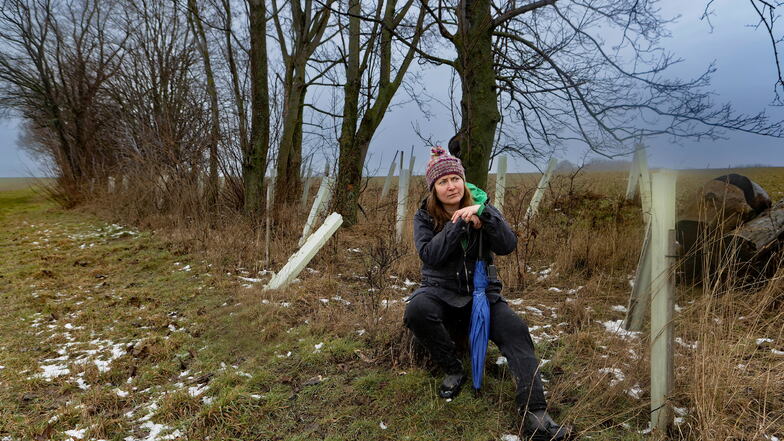 Katrin Leipacher zeigt im Februar die abgeholzte Hecke.