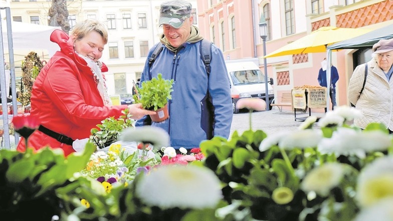 An einem neuen Ort: Der Grünmarkt ist jetzt im Hof der Roten Schule zu finden.