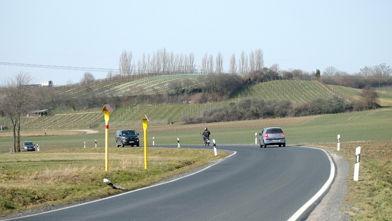 Hier, entlang der Kreisstraße zwischen Niederau und Gröbern, soll auch ein Fahrradweg entstehen.