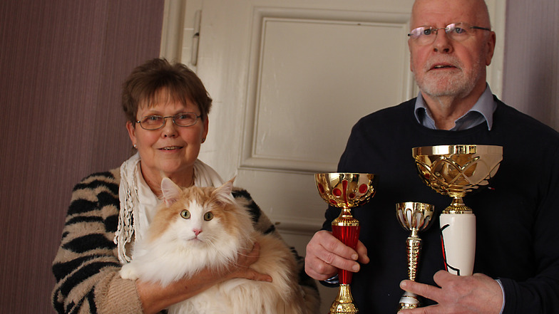 Völlig überwältigt und glücklich über die erzielten Pokale ist das Hobbyzüchter-Ehepaar Hannelore und Hans-Jürgen Colmsee aus Britz mit ihrem Norwegischen Waldkater – der Gewinner dieser Internationalen Rassekatzenausstellung.