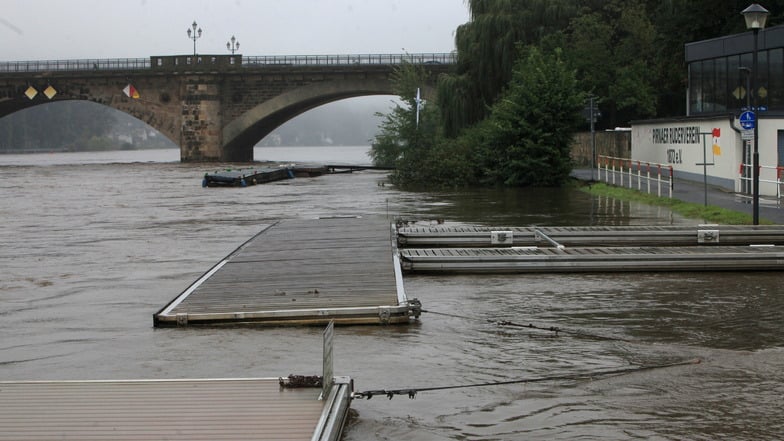 Auftrieb: Die Steganlage vor dem Pirnaer Ruderbootshaus schwimmt auf der hochwasserführenden Elbe.