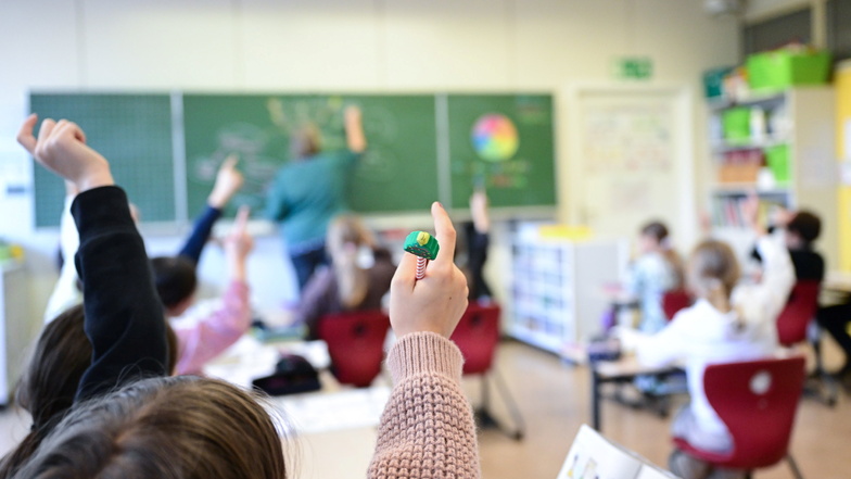 Schuljahr 2024/25: So viele Kinder nehmen die Dresdner Grundschulen, Oberschulen und Gymnasien auf