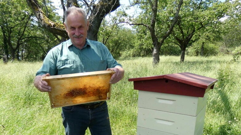 Günter Sodan ist leidenschaftlicher Imker und hat auf seiner Ranch bei Kleinbautzen ein wahres Insektenparadies geschaffen. Er engagiert sich dafür, dass "Bienenvater" Adam Gottlob Schirach die ihm gebührende Würdigung zuteil wird.