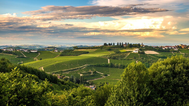 Das Piemont ist geprägt durch Weinberge, Haselnussplantagen und kleine Städtchen.