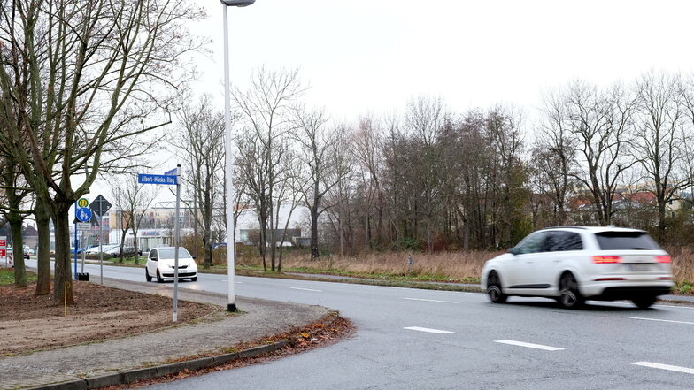 Die Niederauer Straße soll auf der Höhe der Einmündung des Albert-Mücke-Rings eine Bedarfsampel für Fußgänger bekommen. Vor Herbst 2024 wird das nichts.