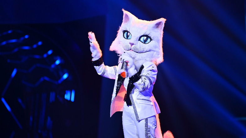 "Masked Singer:" Katze ist Musiklegende