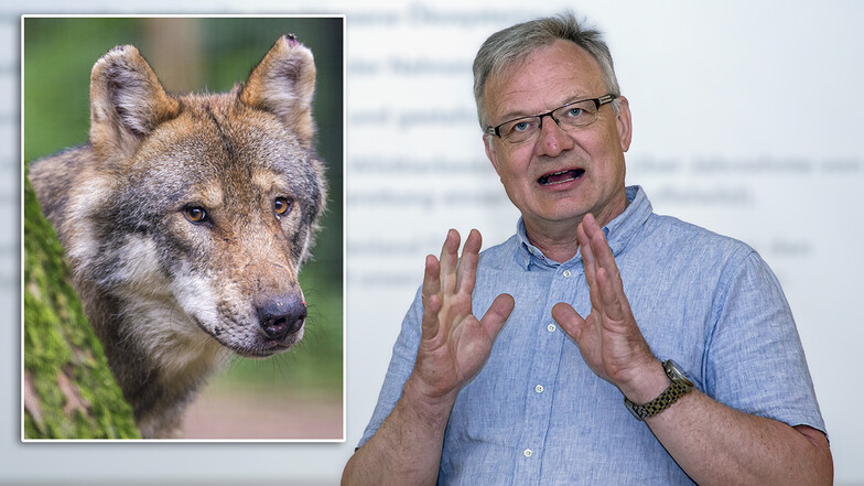 René Hein ist Sprecher für Jagd-, Wald- und Forst der AfD-Fraktion im Sächsischen Landtag. Er war in Strehla der Hauptredner beim Info-Abend über den Wolf.