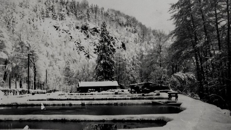 So sah die Teichanlage Ende der 1950er-Jahre aus.