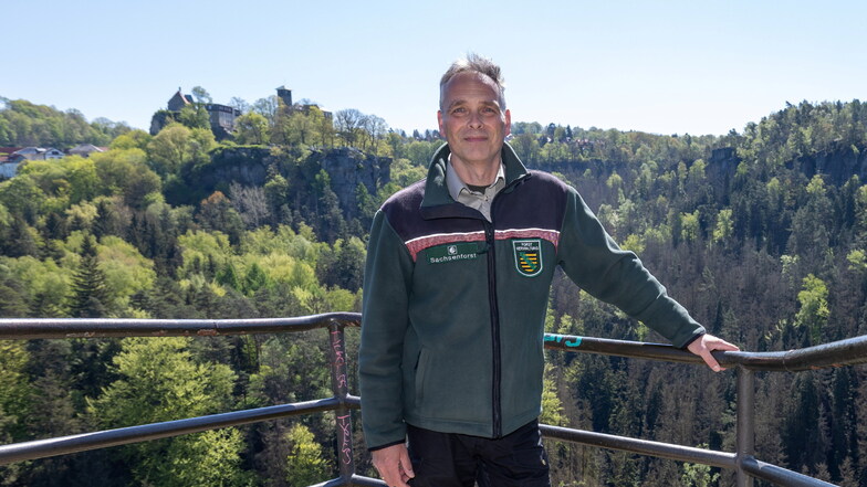 Uwe Borrmeister auf der Hocksteinaussicht: Der 52-Jährige leitet seit Anfang Mai den Nationalpark Sächsische Schweiz.